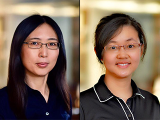 Dr. Chonghui Cheng, associate professor of molecular and human genetics and of molecular and cellular biology and author Dr. Jing Zhang, postdoctoral associate in the Cheng lab.