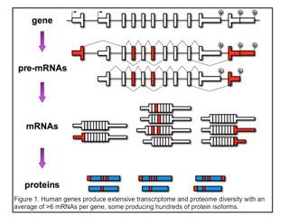 Alternative Splicing and its Significance