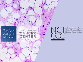 Dan L Duncan Comprehensive Cancer Center
