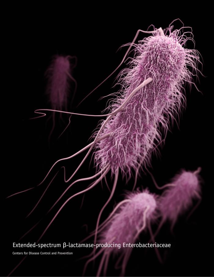 Illustration of drug-resistant Escherichia coli