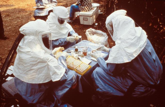 During a 1995 Ebola outbreak these CDC and Zairian scientists took samples from animals collected near Kikwit, Zaire.