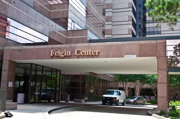 feigin feigin