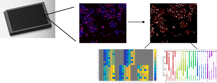 High Throughput Microscopy