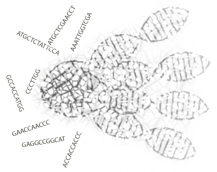 laboratory logo laboratory logo