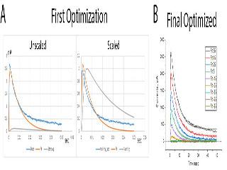 Figure 4: Optimization of Channel Model in TensorFlow Figure 4: Optimization of Channel Model in TensorFlow. An object oriented TensorFlow based model incorporating Hodgkin and Huxley independent gating particles was constructed in Python3.