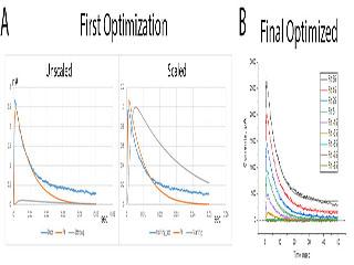 Figure 4: Optimization of Channel Model in TensorFlow. An object oriented TensorFlow based model incorporating Hodgkin and Huxley independent gating particles was constructed in Python3.