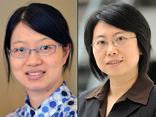 Dr. Linyan Meng and Dr. Yaping Yang Dr. Linyan Meng, assistant professor of molecular and human genetics at Baylor and Dr. Yaping Yang, associate professor of molecular and human genetics at Baylor and senior laboratory director at Baylor Genetics.