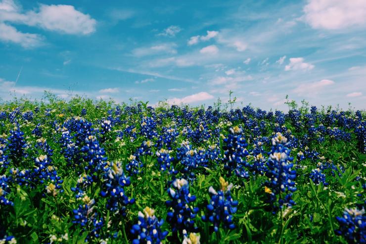 Warm weather and blooming flowers can mean sinus infections for allergy sufferers.