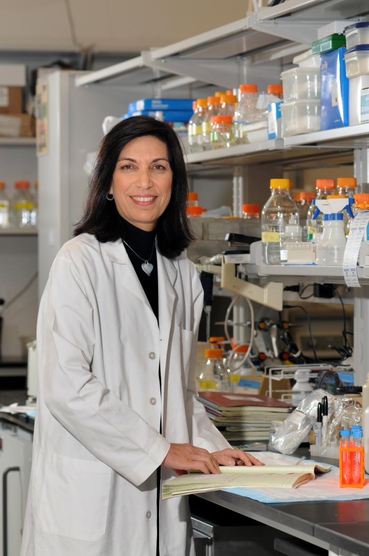 Dr. Huda Y. Zoghbi