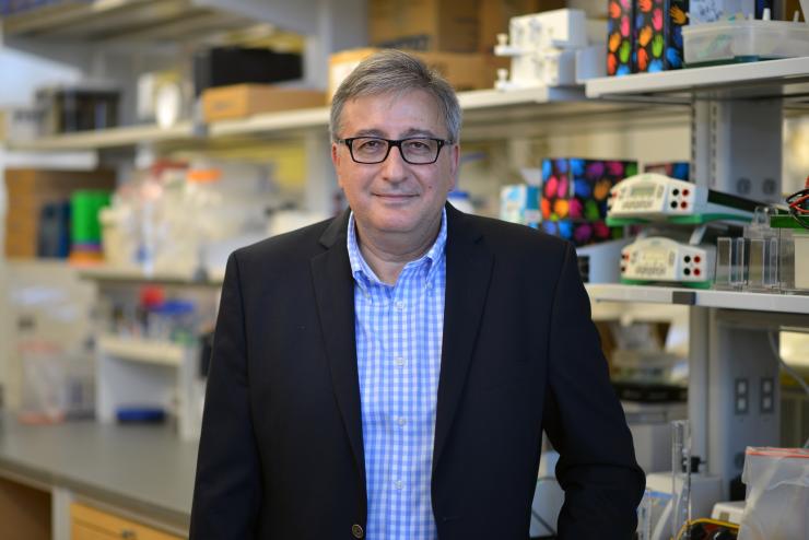 Dr. Massimo Pietropaolo