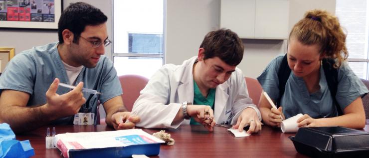Jean Ghosn Jean Ghosn in the Summer Surgery Program