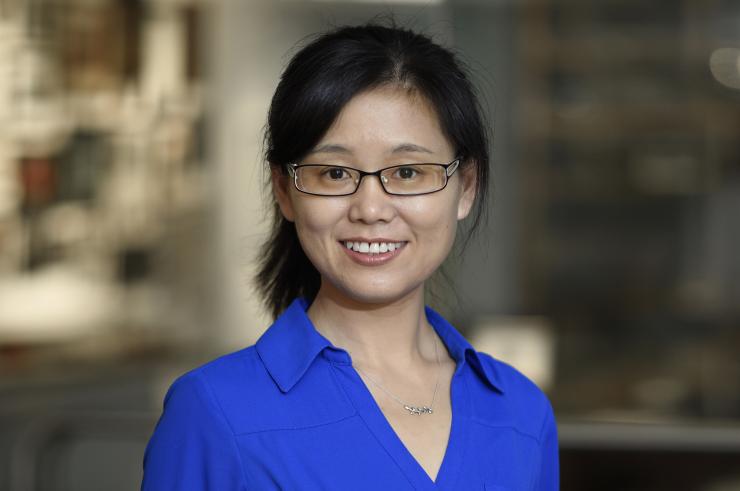 Dr. Meng Wang, associate professor in the Huffington Center on Aging and the Department of Molecular and Human Genetics at Baylor College of Medicine.