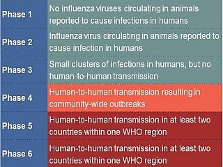 Influenza Virus (Flu)