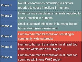 WHO Stages of a Pandemic