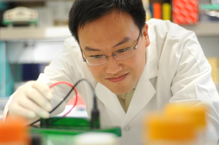 Dr. Xiang Zhang, assistant professor in the Smith Breast Center and a McNair Scholar in breast cancer