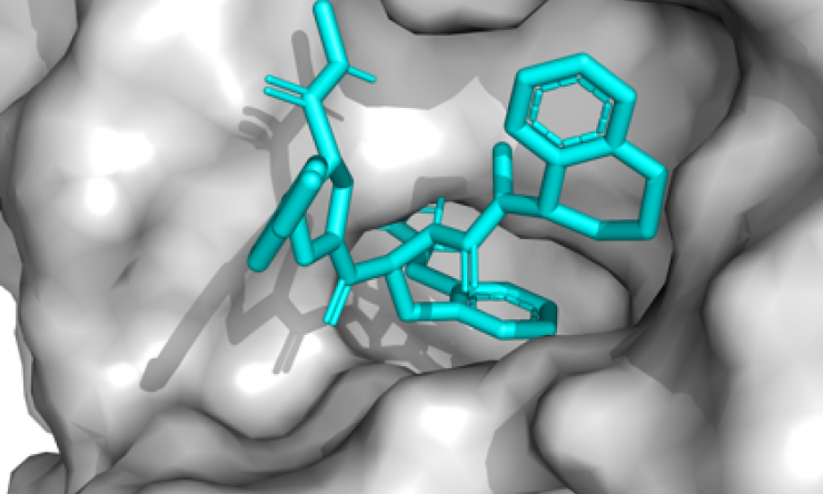 Pictured here is a model of the enzymatic pocket of thrombin (gray background surface) with the bound inhibitor molecule (cyan stick structure). 