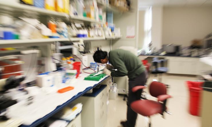 Surgical researcher