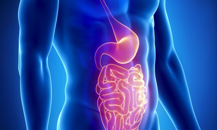 How rotavirus causes severe gastrointestinal disease BCM