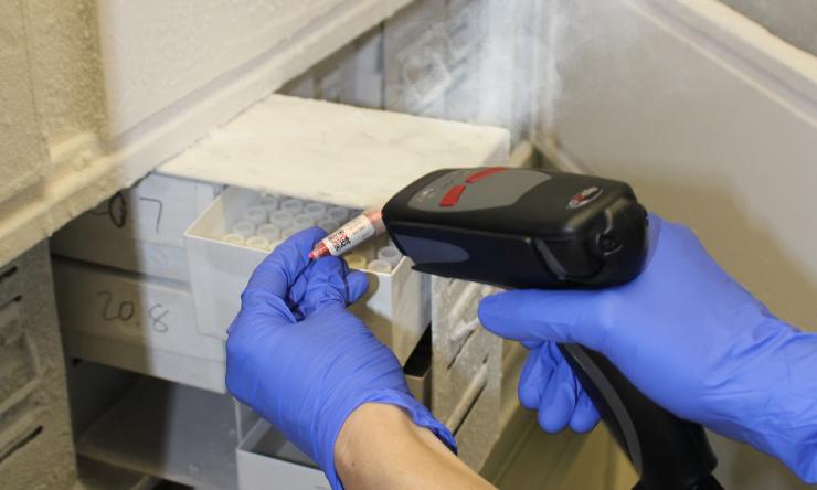 Cryotube scanning
