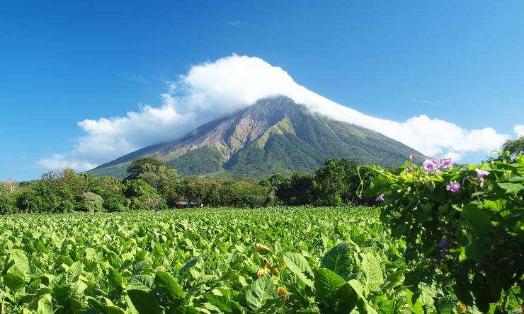 Nicaragua landscape