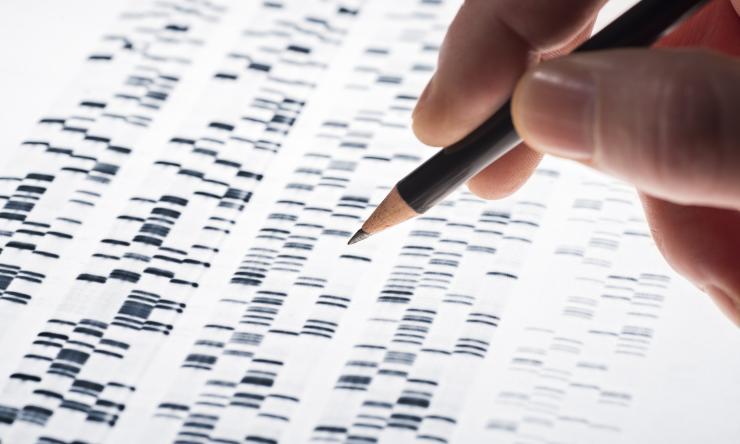 A person holding a pencil over a printout of genetic information