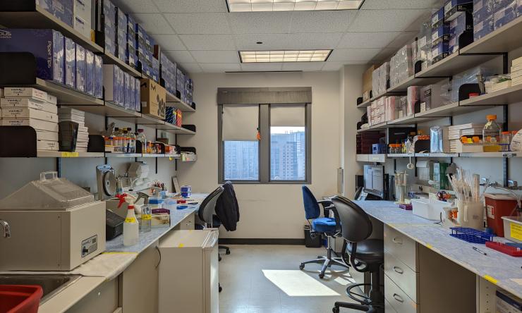 Jalali Lab