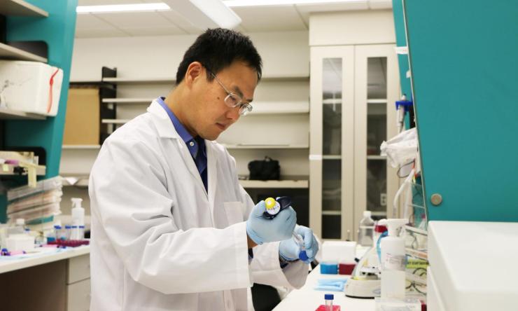 Photo of Xiang Shawn Zhang working in his research lab.