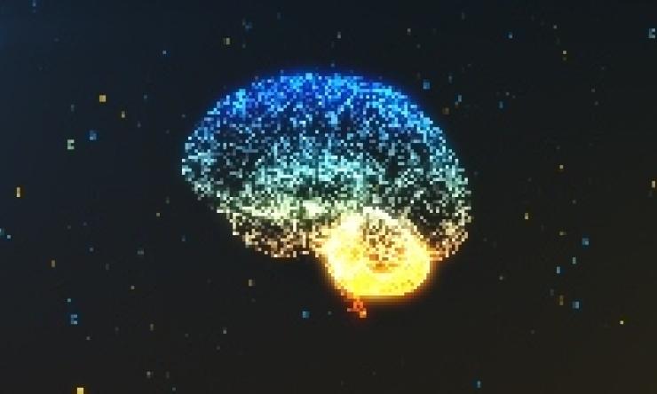 bright brain