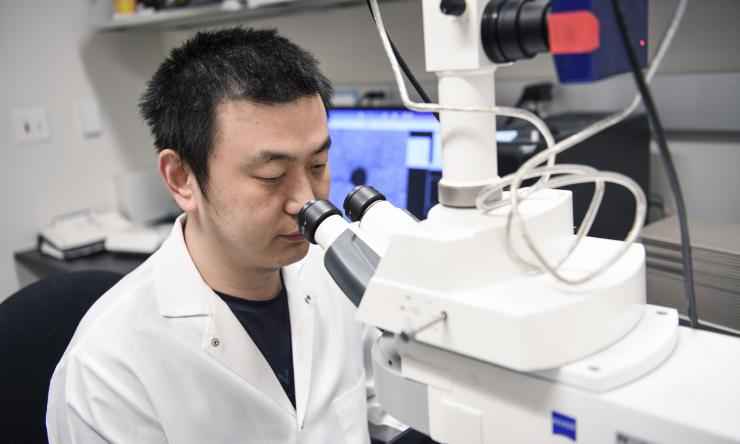 jiang lab