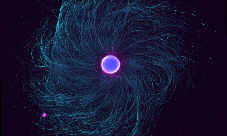 IPSC Organoid