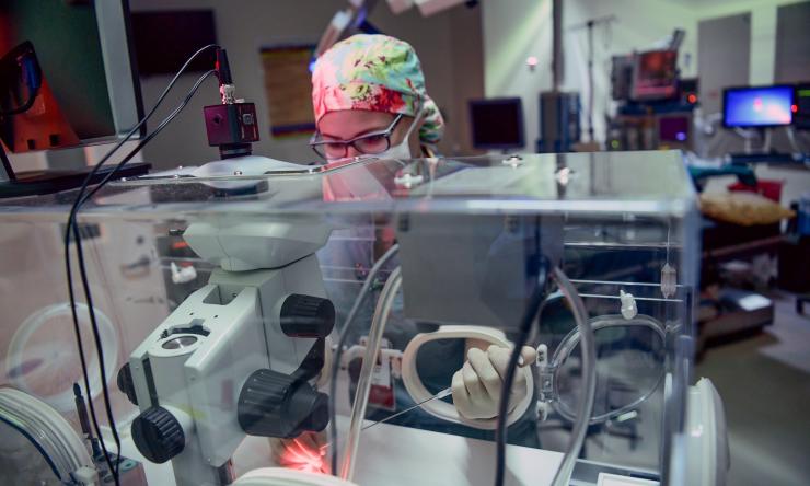 doctor working with reproductive technology