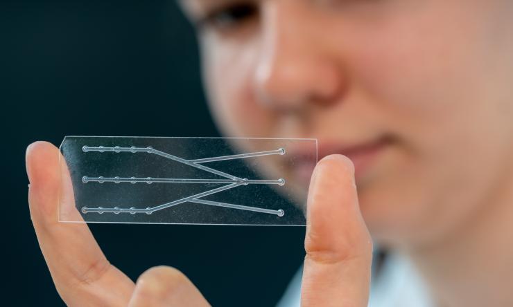 Tissue Chip