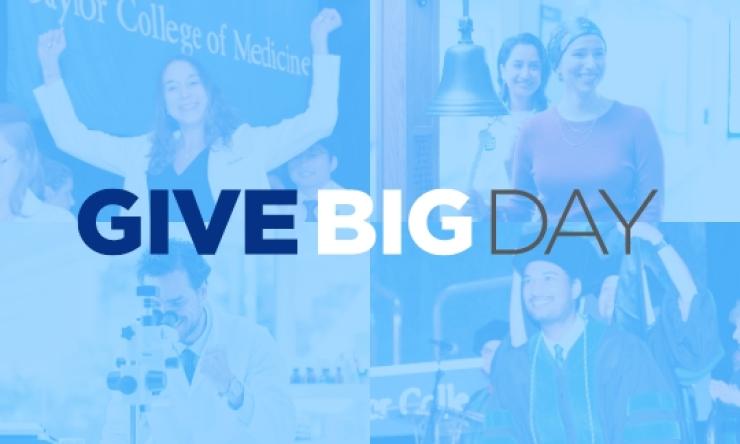 Give BIG Day