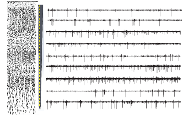 Multi-electrode recording