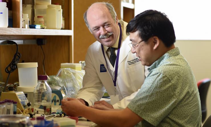 Paul Pfaffinger working with his lab member. Paul Pfaffinger working with his lab member.