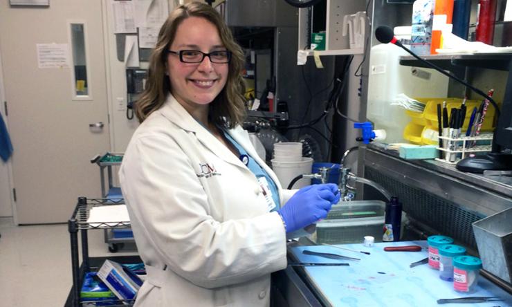 Pediatric pathology fellow grossing a specimen.