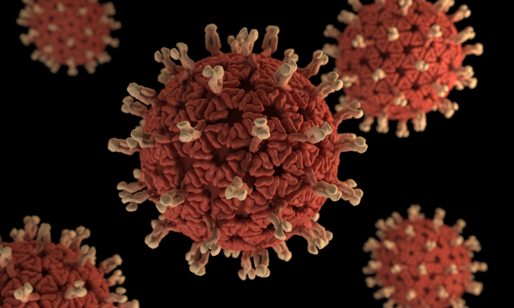 3D graphical representation of rotavirus virions.  Rotaviruses are nonenveloped, double-shelled viruses, making them quite stable in the environment.