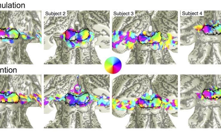 Polar-angle retinotopy evoked by attention and stimulation on human SC.