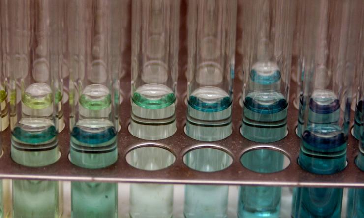 Image of test tubes from a lab.